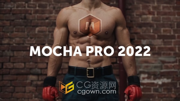 摄像机反求跟踪Mocha Pro 2022 v9.0.3软件与Adobe/OFX插件版本