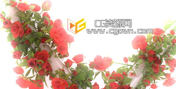我的爱 心型玫瑰动画 Videohive My Love 6663131 AE模板