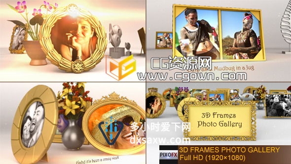三维相框相册 家庭聚会 Videohive 3D Frames Photo Gallery AE模板