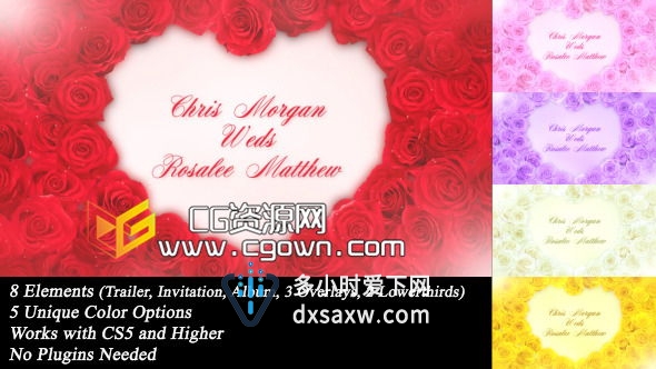 唯美玫瑰婚礼相册展示 Videohive Wedding Roses AE模板