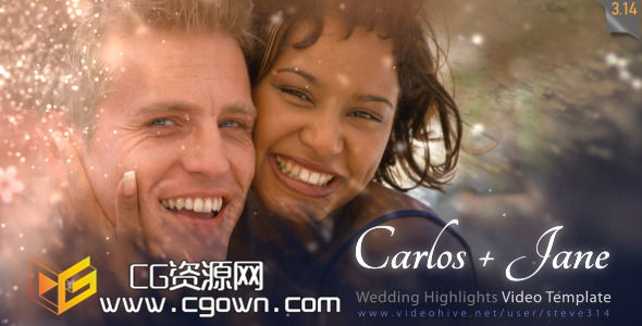 闪亮粒子 婚礼视频 Videohive Wedding Highlights – Video Template AE模板