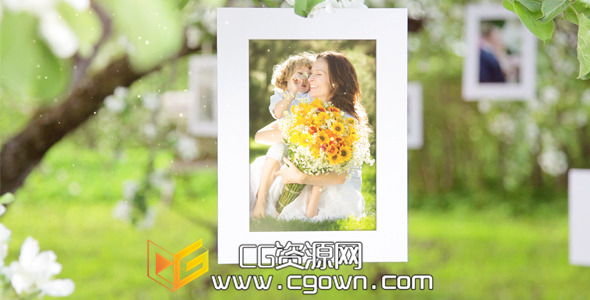 照相馆花和蜜蜂 度假旅游 Videohive Photo Gallery Blossoms and Bees AE模板