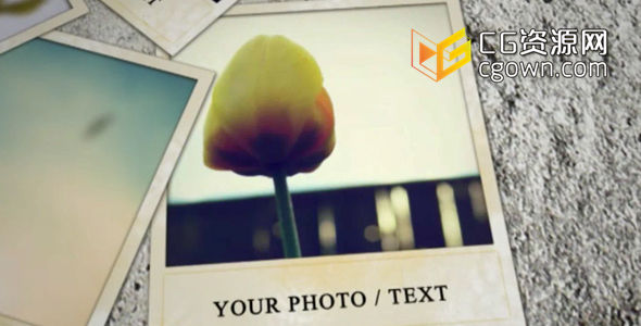 贴墙照片 动态图片库 Videohive Wall and Photos 80285 AE模板