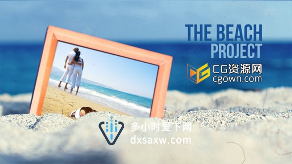 海洋沙滩自然鸟真实风景相册 Videohive The Beach Project AE模板