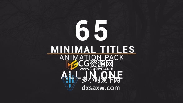 AE模板 65组干净简洁文字标题字幕条动画设计原AE工程文件