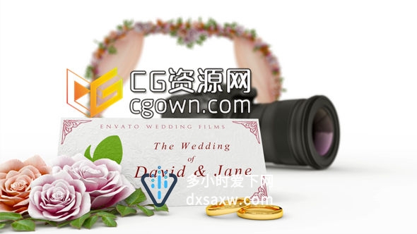 非常美金戒指婚礼视频片头 Wedding Film Intro 7422671AE模板