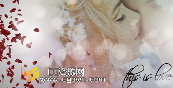 玫瑰花瓣 婚礼相册 Videohive Wedding Album AE模板