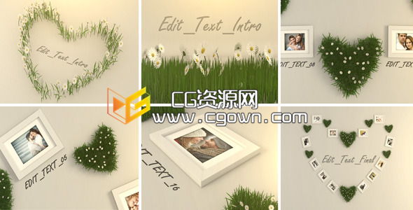 心型小草情人节照片 VideoHive Valentine Photo 6711968 AE模板