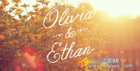 视频中添加漂亮的标题 Videohive Formal Video Titles Template AE模板
