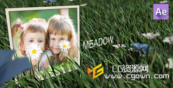 自然野外真实草地唯美相册展示 Videohive Meadow 6702113 AE模板