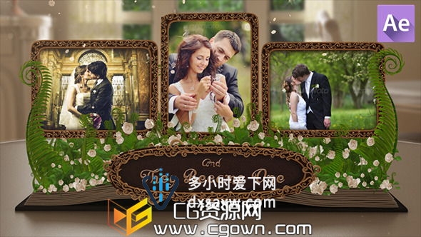 婚礼相册书籍翻页 太生动动画 Videohive Wedding Album Pop up Book AE模板