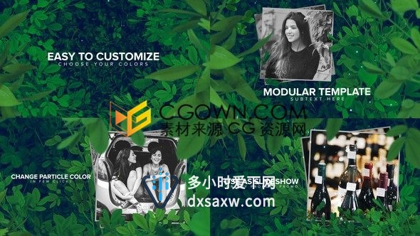 自然植物树叶绿色主题宣传照片幻灯片相册视频-AE模板下载