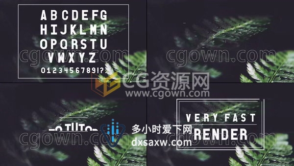 英文字母书写生长动画文字标题组合效果-AE模板工程