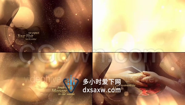 唯美奢华金色粒子背景制作度假休闲娱乐美容行业宣传片-AE模板