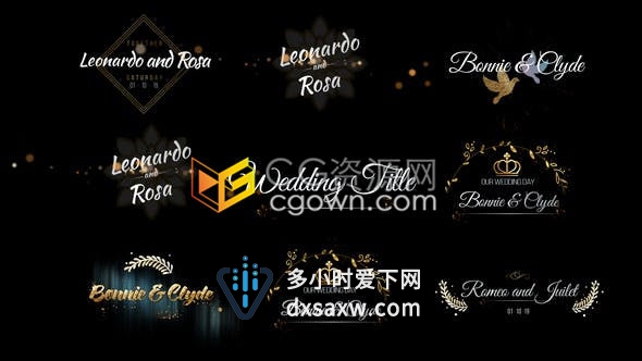 高端大气优雅美丽婚礼视频文字标题包装元素-AE模板下载