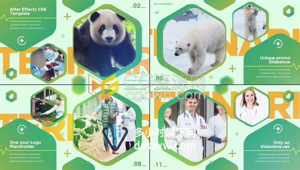 动物保护兽医宣传片宠物诊所动物救援活动论坛绿色和平主题宣传视频-AE模板下载