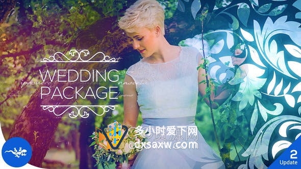 AE模板-浪漫婚礼视频制作唯美效果Wedding Package