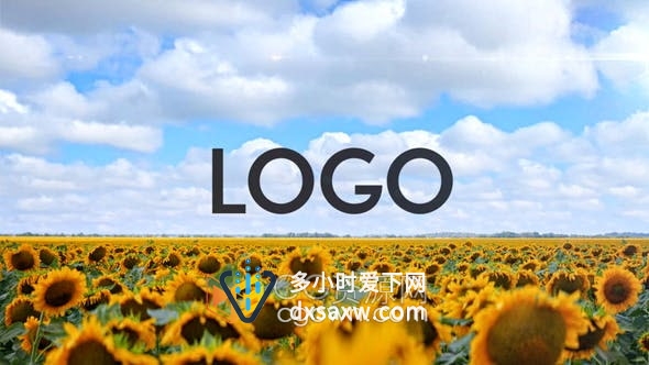 AE模板-夏天阳光明媚盛开向日葵田野视频展示LOGO动画片头