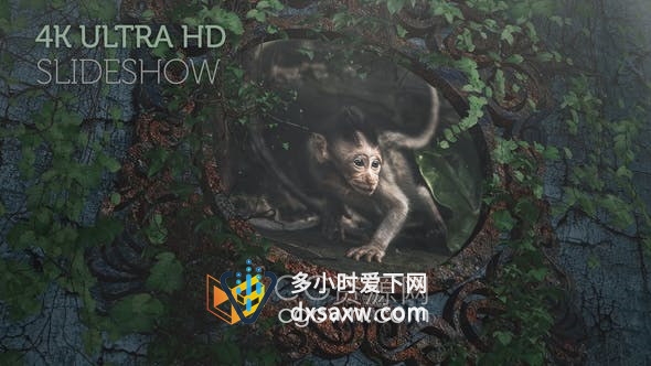 悬挂在常春藤旧墙上生锈金属相框展示照片动画宣传相册视频-AE模板