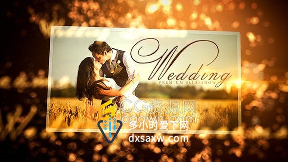 AE模板-金光灿灿温馨背景展示婚礼相册家庭聚会活动视频