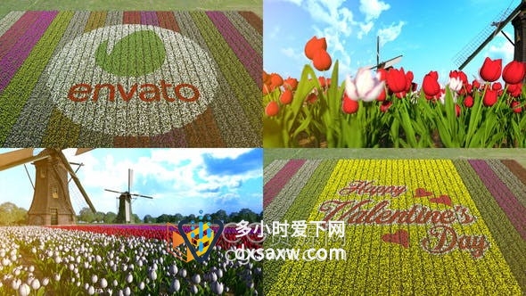 花田风景花朵鲜花摆成文字标题标志图案动画效果视频片头-AE模板