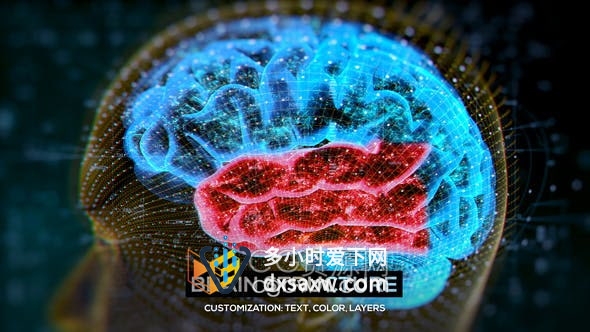 AE模板-介绍大脑结构HUD解剖学医学演示教育机构医学生物学人脑神经元