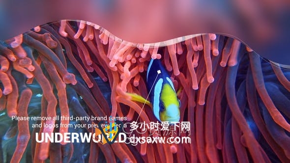 波浪图形设计动画介绍海洋地球上神秘地方礁石珊瑚潜水宣传视频-AE模板
