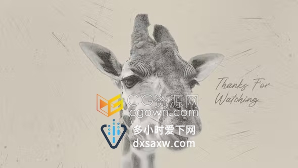 AE模板-优雅画笔素描风格简约摄影绘画作品人物肖像动物照片相册