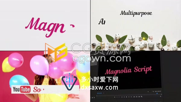 PR预设-浪漫剧本婚礼视频文字动画手写字体标题开场