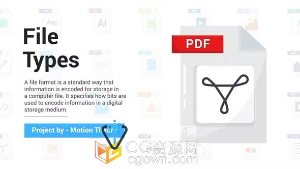 File Types Formats Icons 30个文件类型格式图标动画AE模板