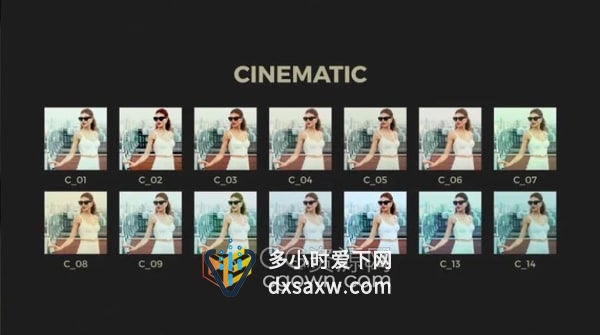 AE模板/预设-70个独特的颜色分级预设含黑白电影褪色复古和暖色调