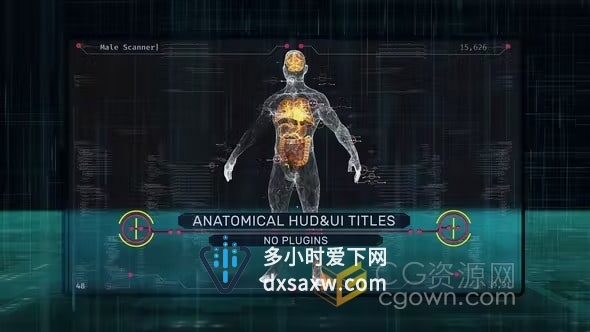 Anatomical HUD UI Titles AE模板科技感人体器官场景大脑肺心脏肝脏肠胃完整身体