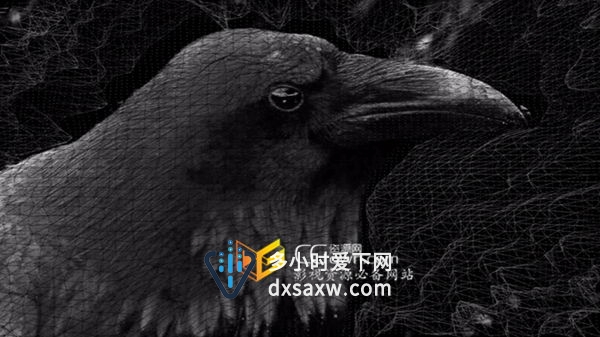 AE教程 影片镜头转换成分层混合三维艺术效果