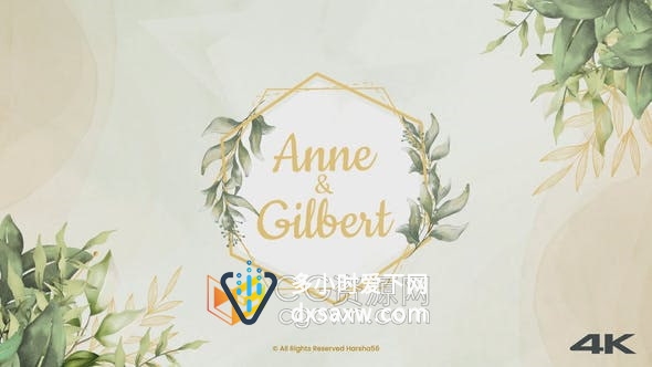 AE模板-清新美丽手绘花卉绿植元素浪漫婚礼邀请函电子请柬含手机版