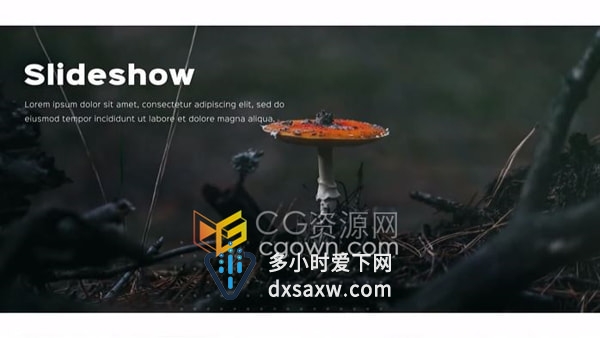 干净简洁图文展示时尚简短照片介绍视频相册PR模板