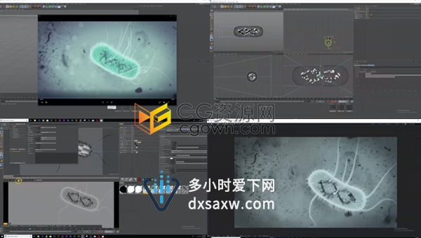 C4D&AE教程大肠杆菌建模细菌触角动画教程