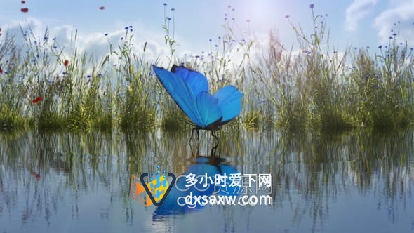 AE模板-草丛湖面自然场景蝴蝶停留水面演绎花瓣迸发标志揭示动画