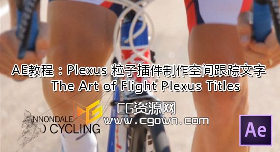 AE Plexus插件制作空间跟踪文字教程