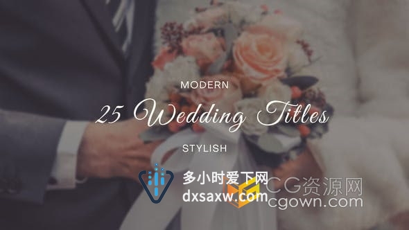 AE模板-25个复古漂亮婚礼标题徽章元素动画