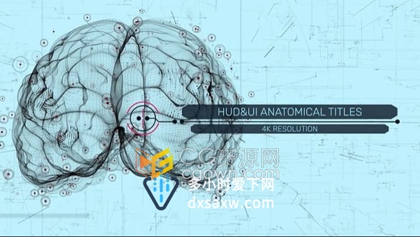 AE模板-HUD UI人体解剖大脑头骨肺和躯干场景演示标题动画医学解说文本