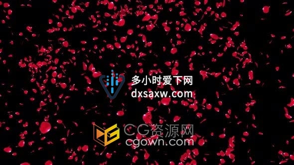4K视频素材-爆炸散开玫瑰花瓣动画透明通道合成特效素材