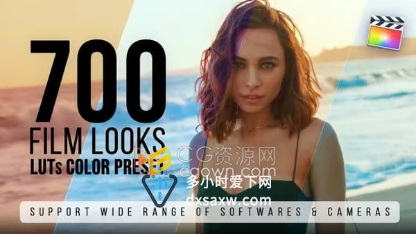 Film Looks 700多种调色预设LUTs cube文件