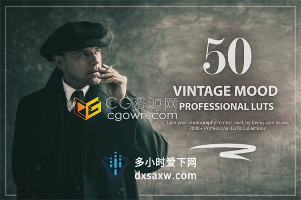 50个经典魅力复古风格Vintage Mood LUT和预设包