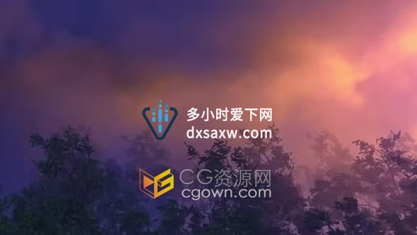 台风大雨破坏树木风雨如磐剪影树天空闪电雷声背景视频素材