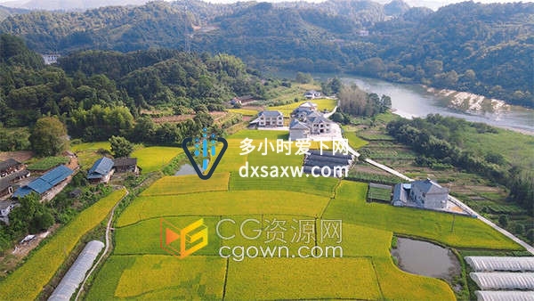 航拍美丽乡村金黄水稻田园风光实拍视频素材