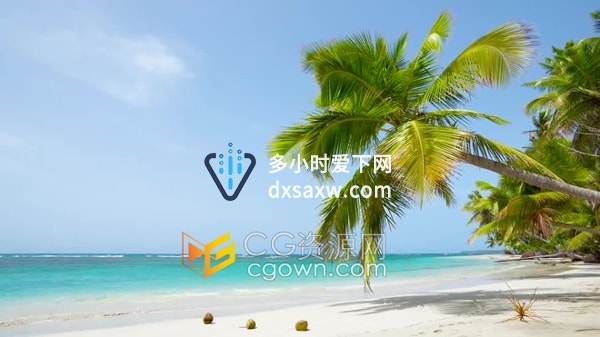 4K实拍视频素材海边白白沙滩棕榈树蓝天