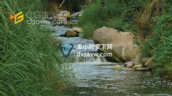 小溪溪流水流流水小河自然景观实拍视频素材
