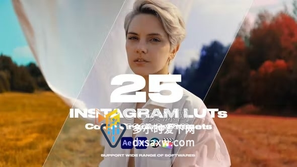 25个漂亮的LUTS调色广泛用于社交媒体短视频广告电影婚礼剪辑