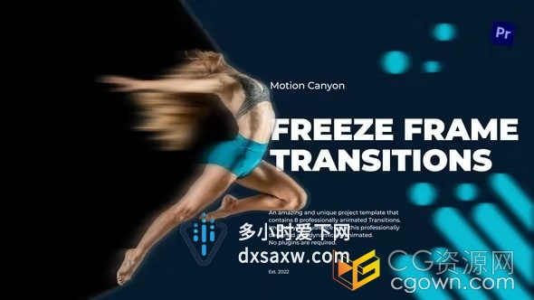 Freeze Frame Transitions酷炫专业的冻结帧过渡元素-PR转场模板