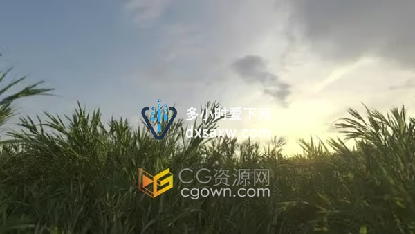 延时效果种植小麦快速生长动画农业田野风景视频素材